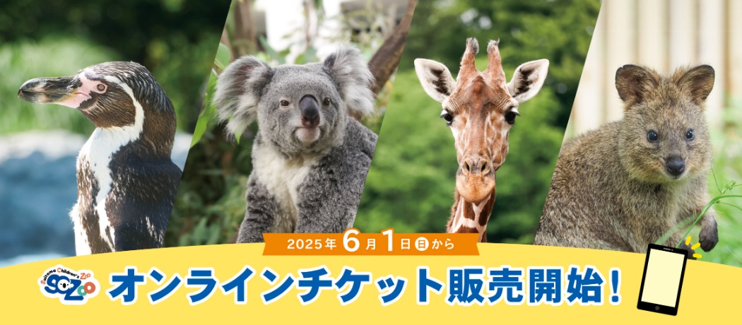 オンラインチケットについて